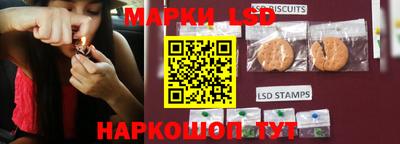 гидропоника Донской