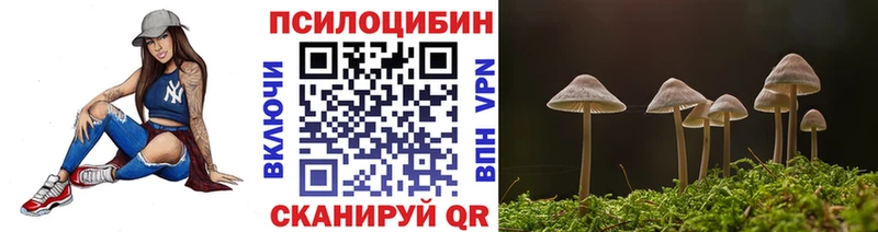 Псилоцибиновые грибы мицелий наркошоп блэк спрут зеркало Феодосия