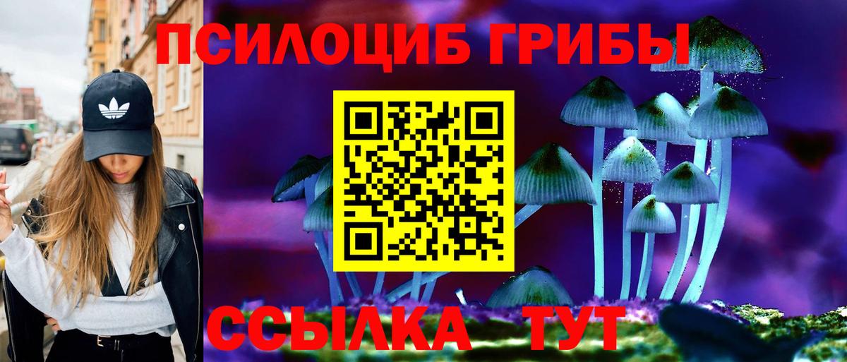 Псилоцибиновые грибы Psilocybine cubensis Феодосия
